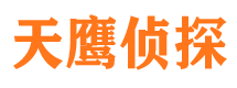 阳山市私家侦探